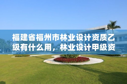 福建省福州市林业设计资质乙级有什么用，林业设计甲级资质