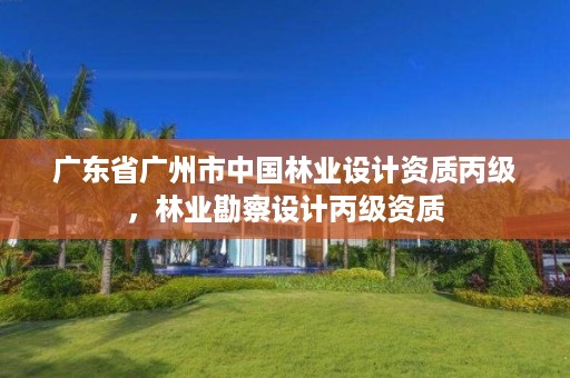 广东省广州市中国林业设计资质丙级,林业勘察设计丙级资质
