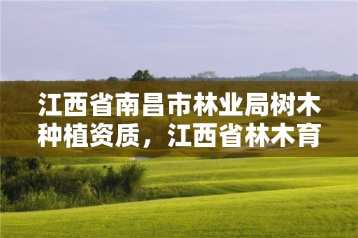 江西省南昌市林业局树木种植资质,江西省林木育种中心怎么样