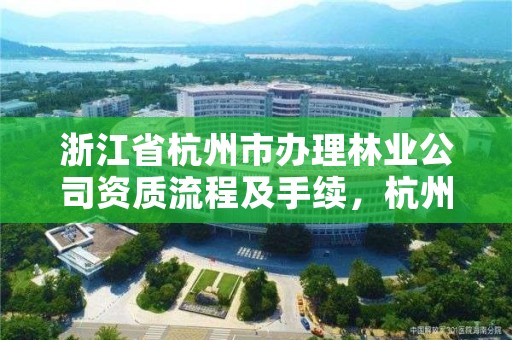 浙江省杭州市办理林业公司资质流程及手续，杭州林业厅地址