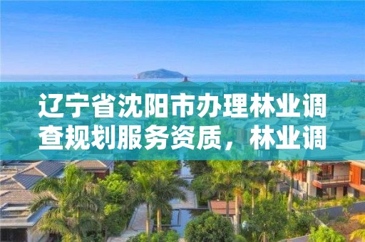 辽宁省沈阳市办理林业调查规划服务资质,林业调查规划资质怎么办理