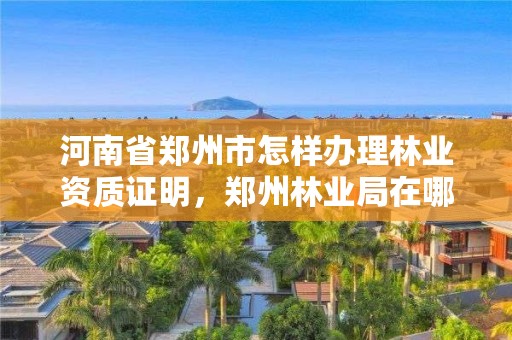 河南省郑州市怎样办理林业资质证明,郑州林业局在哪