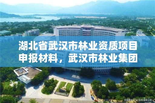 湖北省武汉市林业资质项目申报材料,武汉市林业集团公司官网