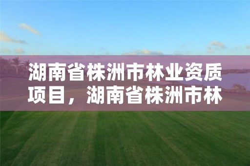 湖南省株洲市林业资质项目，湖南省株洲市林业资质项目有哪些