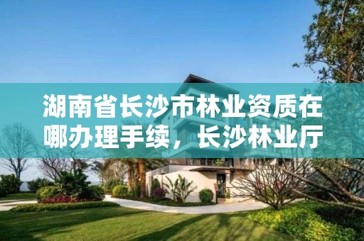 湖南省长沙市林业资质在哪办理手续，长沙林业厅地址