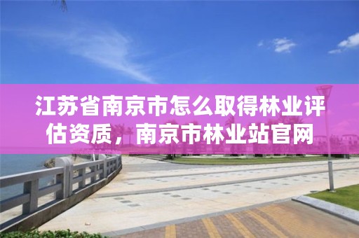 江苏省南京市怎么取得林业评估资质,南京市林业站官网