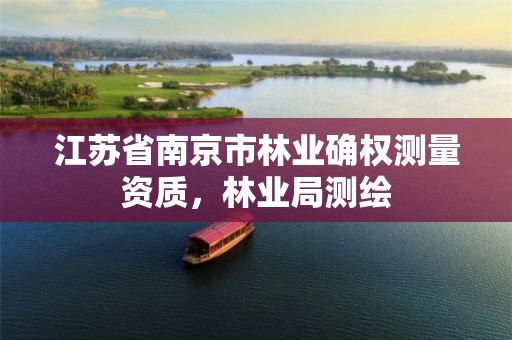 江苏省南京市林业确权测量资质,林业局测绘