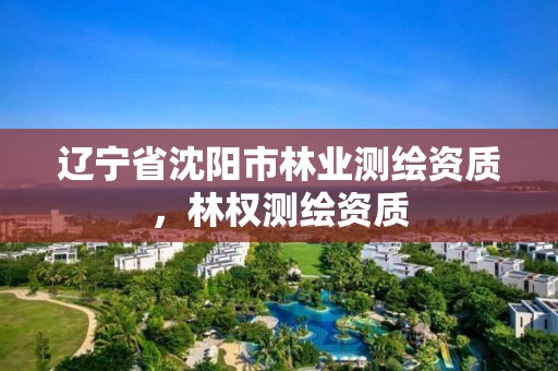 辽宁省沈阳市林业测绘资质,林权测绘资质