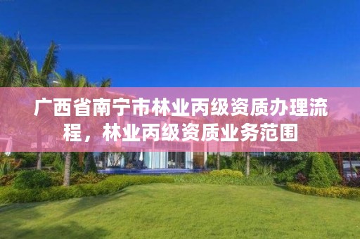 广西省南宁市林业丙级资质办理流程,林业丙级资质业务范围