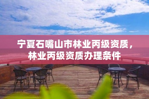 宁夏石嘴山市林业丙级资质,林业丙级资质办理条件