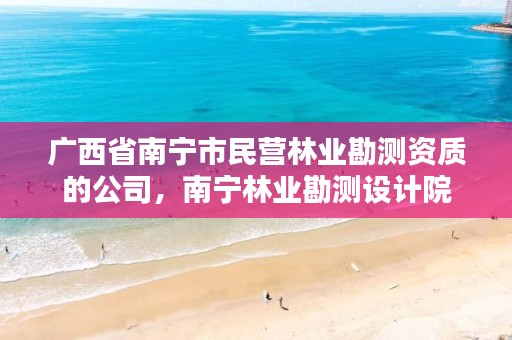 广西省南宁市民营林业勘测资质的公司,南宁林业勘测设计院