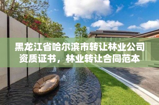 黑龙江省哈尔滨市转让林业公司资质证书,林业转让合同范本