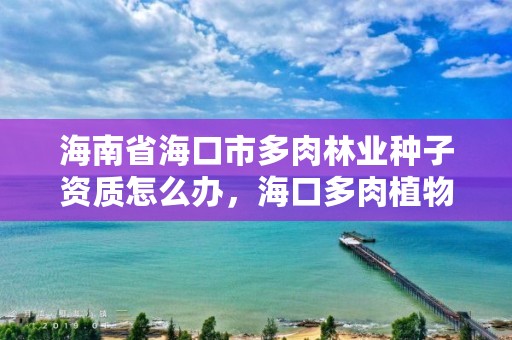 海南省海口市多肉林业种子资质怎么办,海口多肉植物批发市场