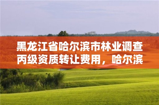 黑龙江省哈尔滨市林业调查丙级资质转让费用,哈尔滨林业调查规划有限公司