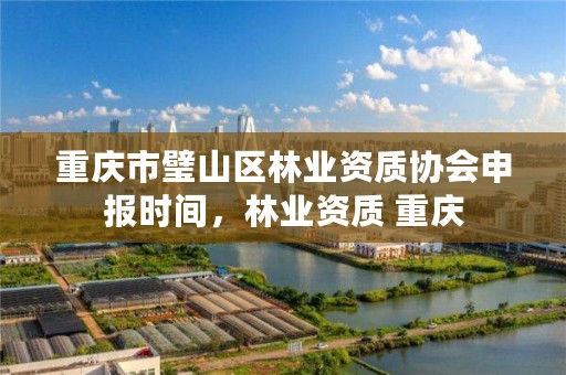 重庆市璧山区林业资质协会申报时间,林业资质 重庆