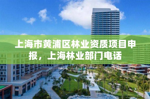 上海市黄浦区林业资质项目申报,上海林业部门电话