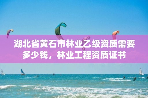 湖北省黄石市林业乙级资质需要多少钱,林业工程资质证书