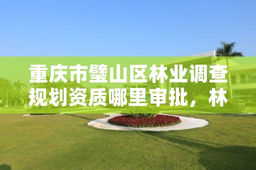 重庆市璧山区林业调查规划资质哪里审批,林业调查规划资质查询