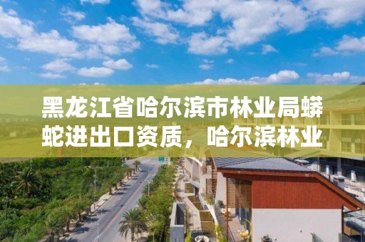 黑龙江省哈尔滨市林业局蟒蛇进出口资质,哈尔滨林业集团