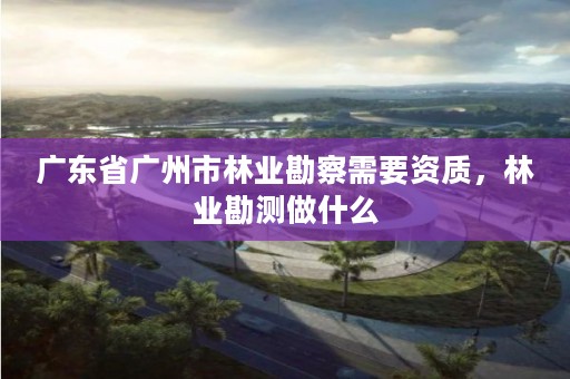 广东省广州市林业勘察需要资质，林业勘测做什么
