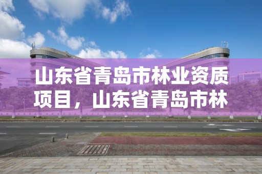 山东省青岛市林业资质项目,山东省青岛市林业资质项目有哪些