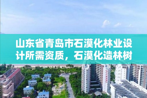 山东省青岛市石漠化林业设计所需资质,石漠化造林树种