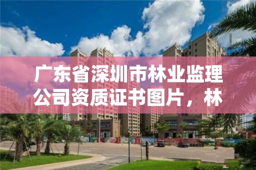 广东省深圳市林业监理公司资质证书图片，林业工程监理资质证书