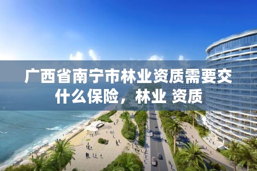 广西省南宁市林业资质需要交什么保险,林业 资质
