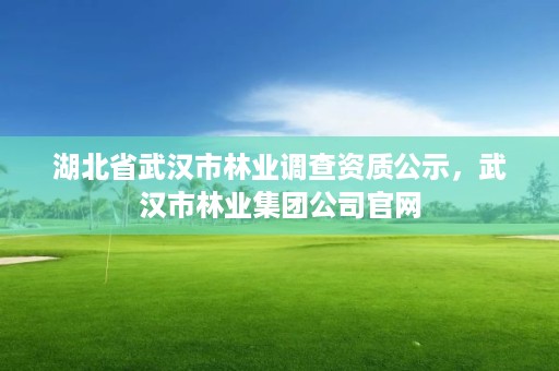 湖北省武汉市林业调查资质公示,武汉市林业集团公司官网