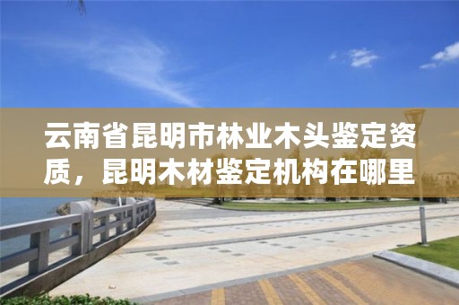 云南省昆明市林业木头鉴定资质，昆明木材鉴定机构在哪里