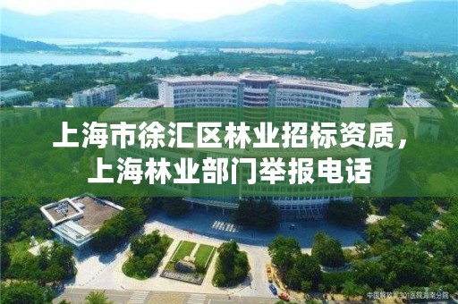 上海市徐汇区林业招标资质,上海林业部门举报电话