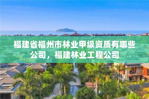 福建省福州市林业甲级资质有哪些公司，福建林业工程公司