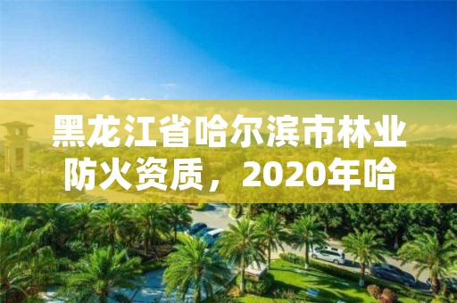 黑龙江省哈尔滨市林业防火资质,2020年哈尔滨森林消防招聘信息