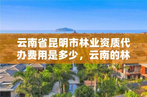 云南省昆明市林业资质代办费用是多少,云南的林业公司