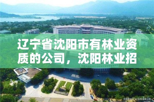 辽宁省沈阳市有林业资质的公司,沈阳林业招聘