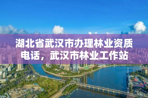 湖北省武汉市办理林业资质电话,武汉市林业工作站