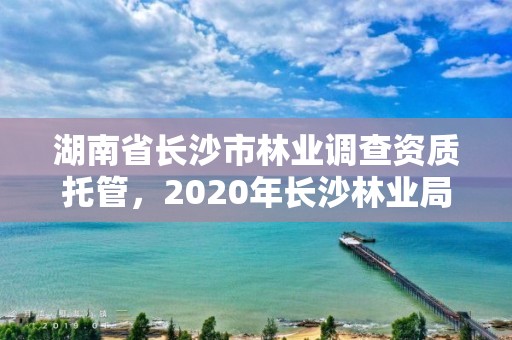 湖南省长沙市林业调查资质托管,2020年长沙林业局招聘公告
