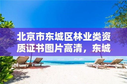 北京市东城区林业类资质证书图片高清,东城林业站