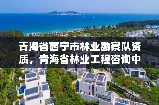 青海省西宁市林业勘察队资质，青海省林业工程咨询中心待遇咋样?
