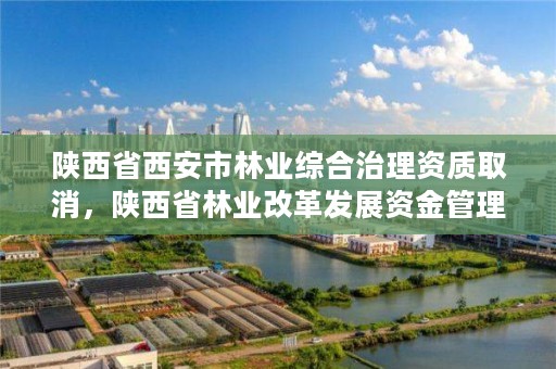 陕西省西安市林业综合治理资质取消，陕西省林业改革发展资金管理办法