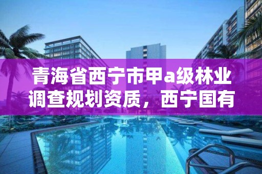 青海省西宁市甲a级林业调查规划资质,西宁国有林场