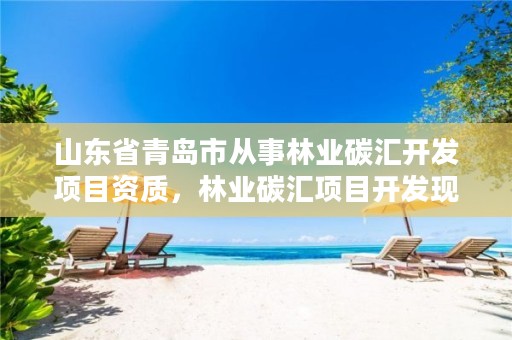 山东省青岛市从事林业碳汇开发项目资质,林业碳汇项目开发现状与前景分析