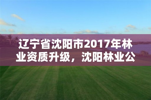 辽宁省沈阳市2017年林业资质升级,沈阳林业公司