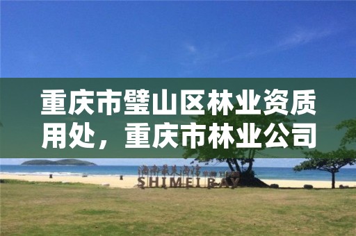 重庆市璧山区林业资质用处,重庆市林业公司