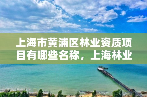上海市黄浦区林业资质项目有哪些名称,上海林业公司