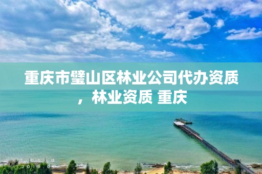 重庆市璧山区林业公司代办资质,林业资质 重庆