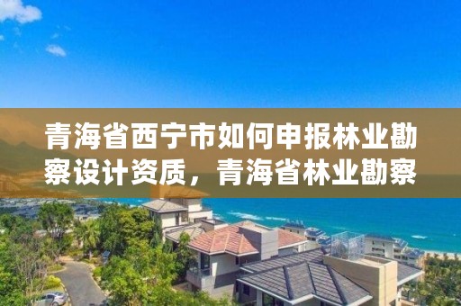 青海省西宁市如何申报林业勘察设计资质,青海省林业勘察设计院