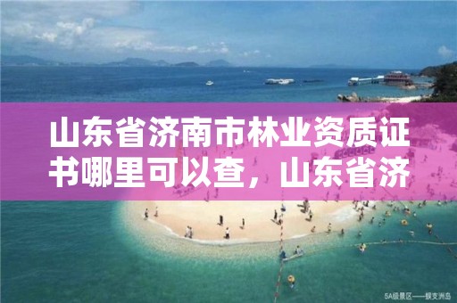 山东省济南市林业资质证书哪里可以查,山东省济南市林业资质证书哪里可以查到