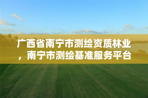 广西省南宁市测绘资质林业,南宁市测绘基准服务平台