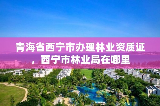 青海省西宁市办理林业资质证,西宁市林业局在哪里